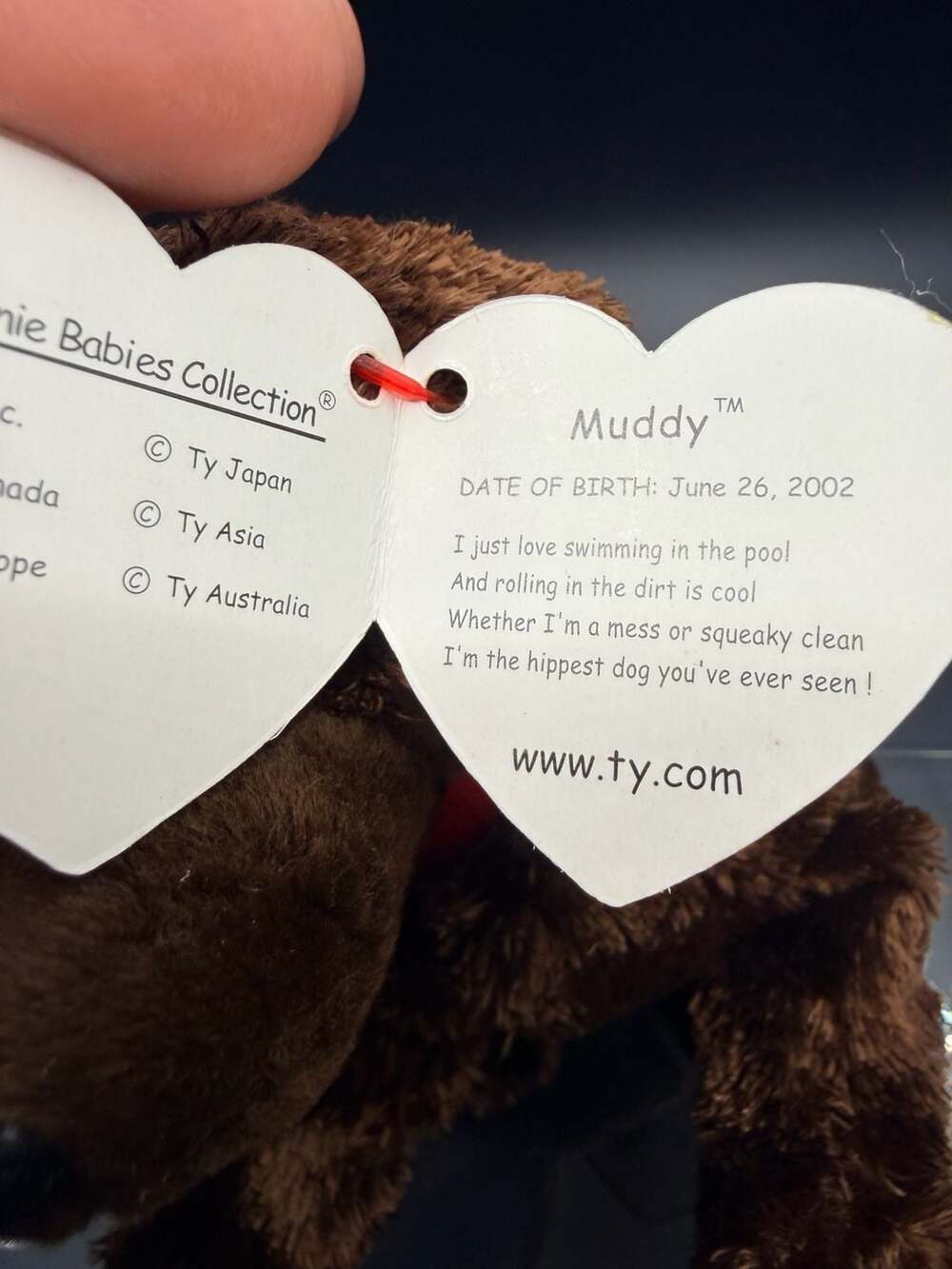 Ty Beanie Babies Collection Muddy The Dog Plush